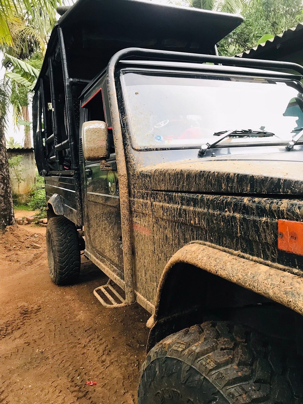 Elephant herd at Udawalawe reservoir